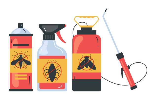 Best Termite Control Services  in Pine Prairie, LA