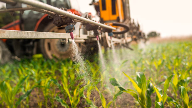 Pest Control Cost in Pine Prairie, LA