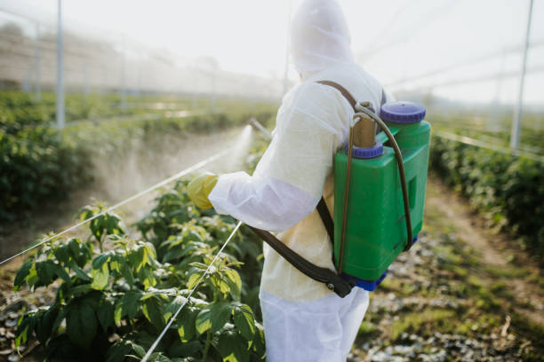 Best Pest Prevention Services  in Pine Prairie, LA